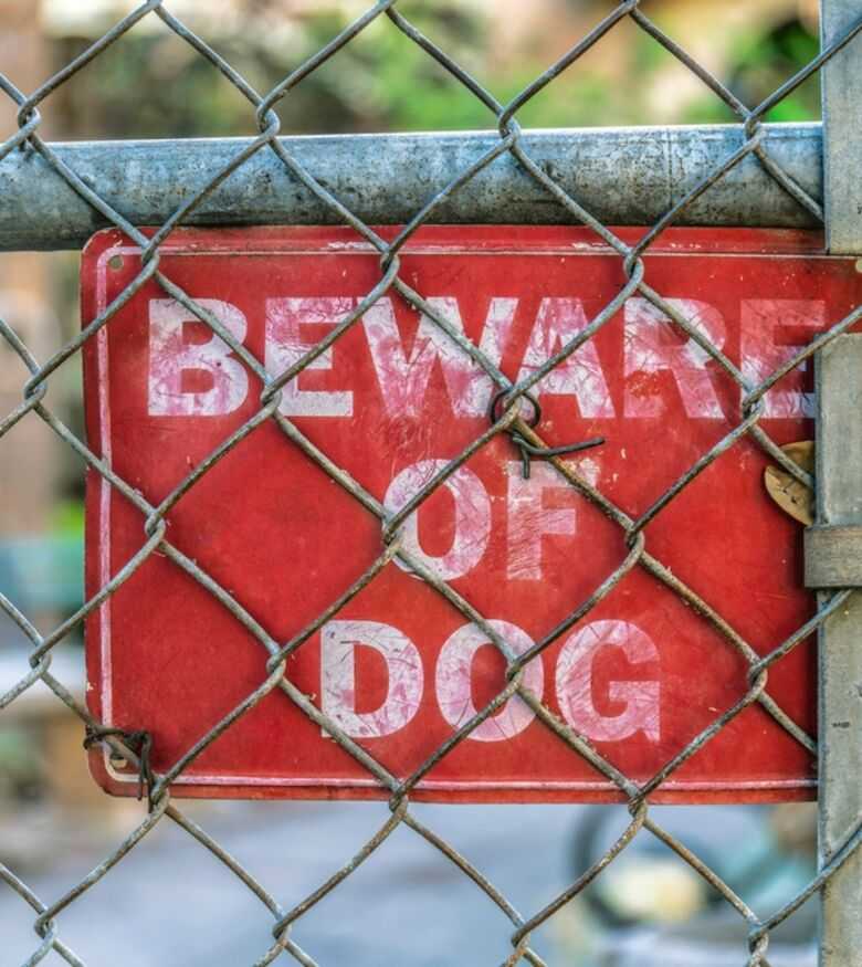 Dog Bite Attorney in Las Vegas - Dog Bite