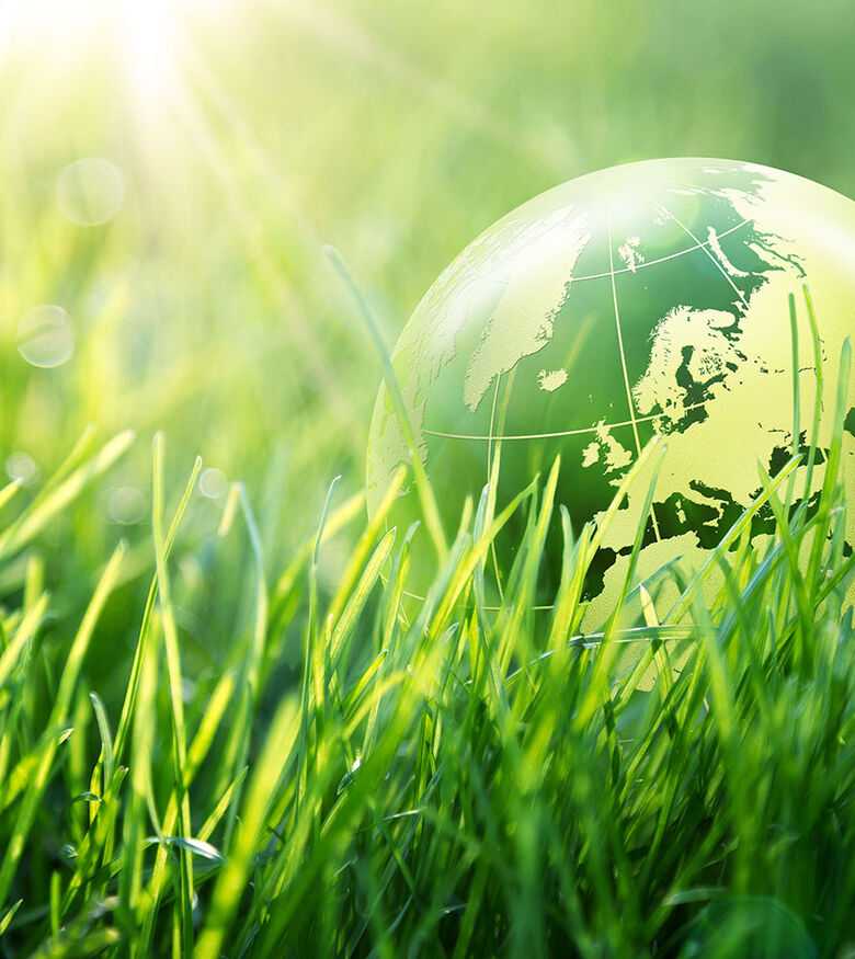 Environmental Lawyers - Orlando - globe in grass