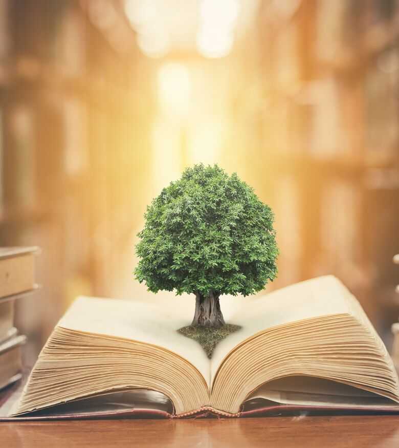 Environmental Lawyers in Los Angeles, CA - tree on a book