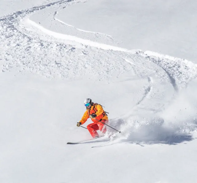 one freeride skier skiing downhill trough deep fresh powder