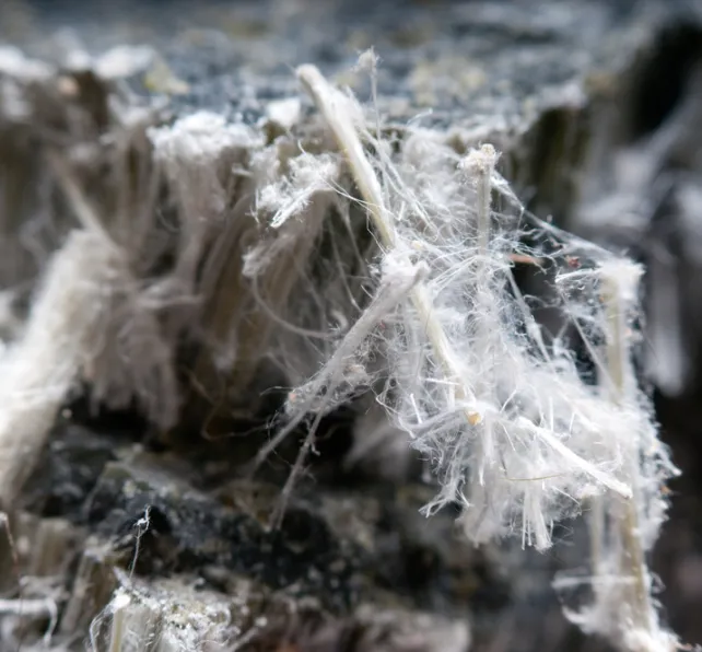 asbestos chrysotile fibers that cause lung disease, COPD, lung cancer, mesothelioma