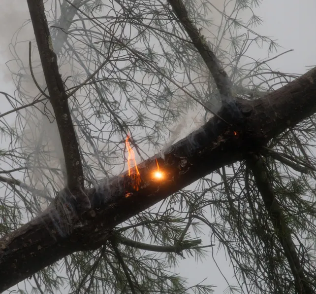 Image for Article - PG&E Power Lines Caused Four NorCal Wildfires, Investigators Determine