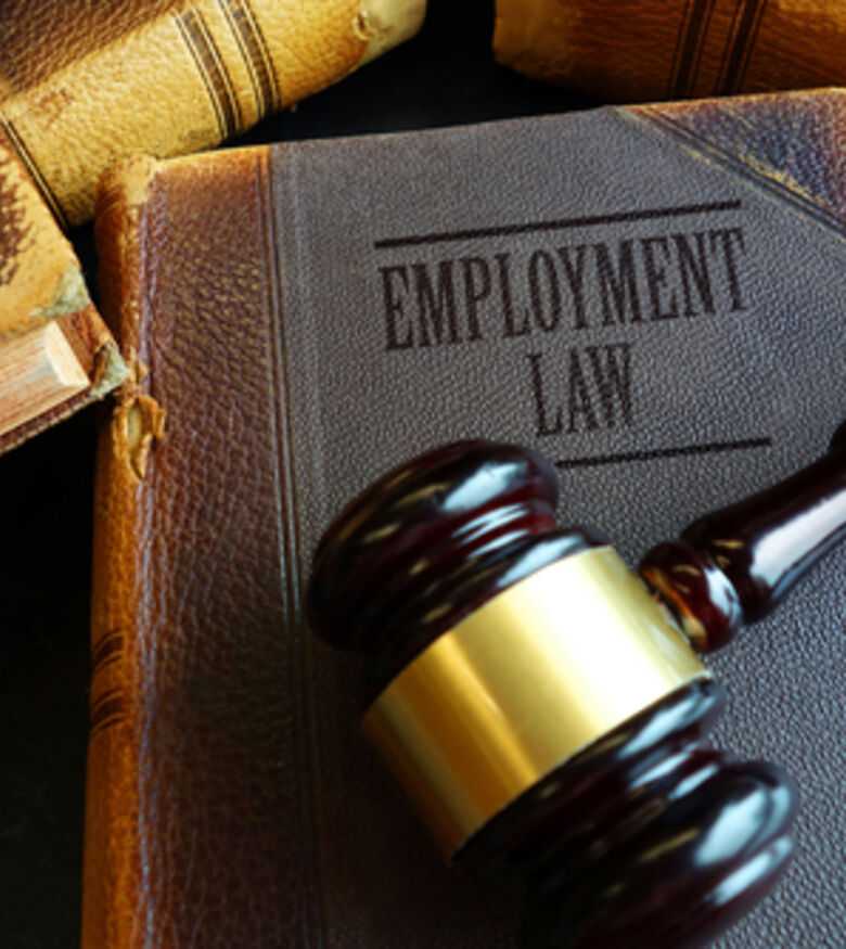 Labor and Employment Lawyers in Big Pine Key
