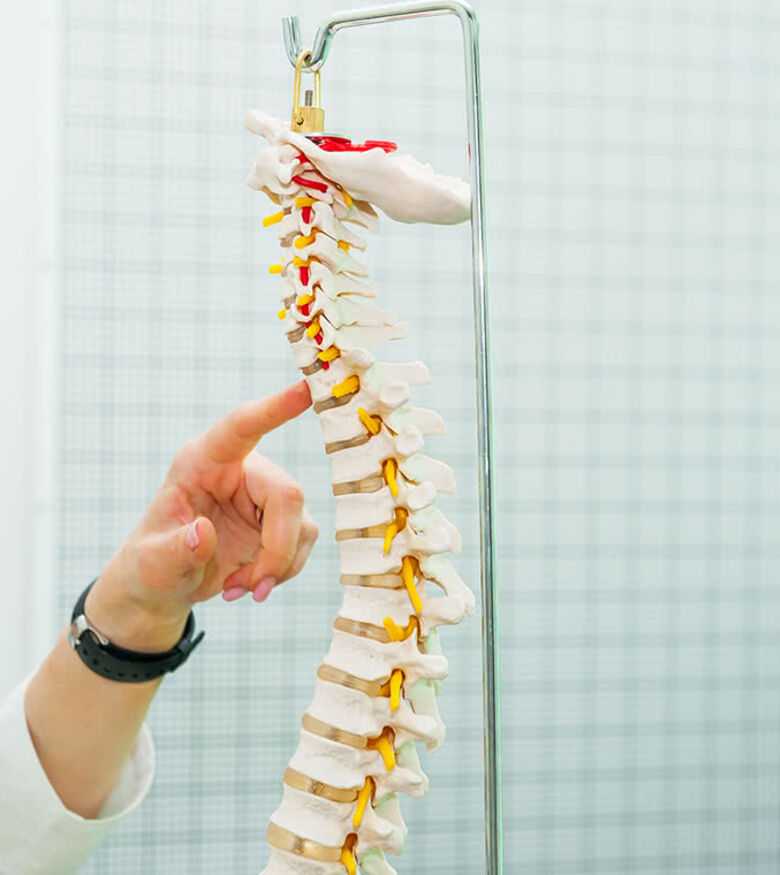 Mobile Spinal Cord Injury Attorneys - spinal cord injury