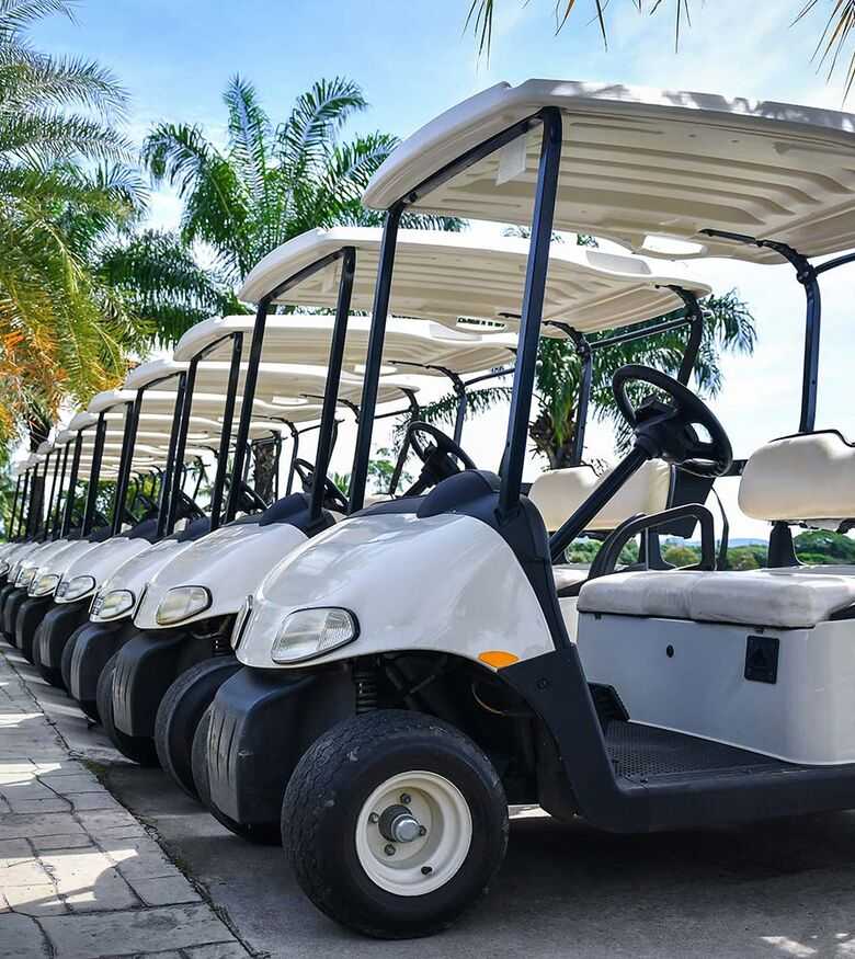 Golf Cart Accident Attorneys in Dallas, Texas (TX) - Golf Carts parked on street
