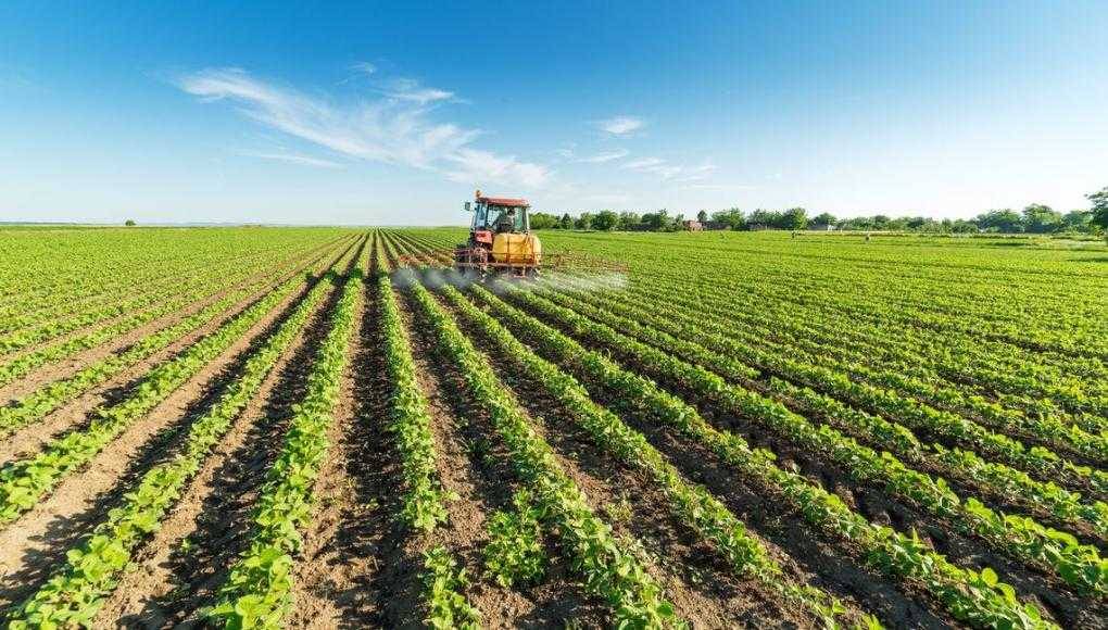 farmer spraying crops