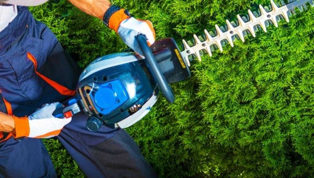 Chervon North America Recalls 85,000 Hedge Trimmers Over Laceration Risk - hedgetrimmers