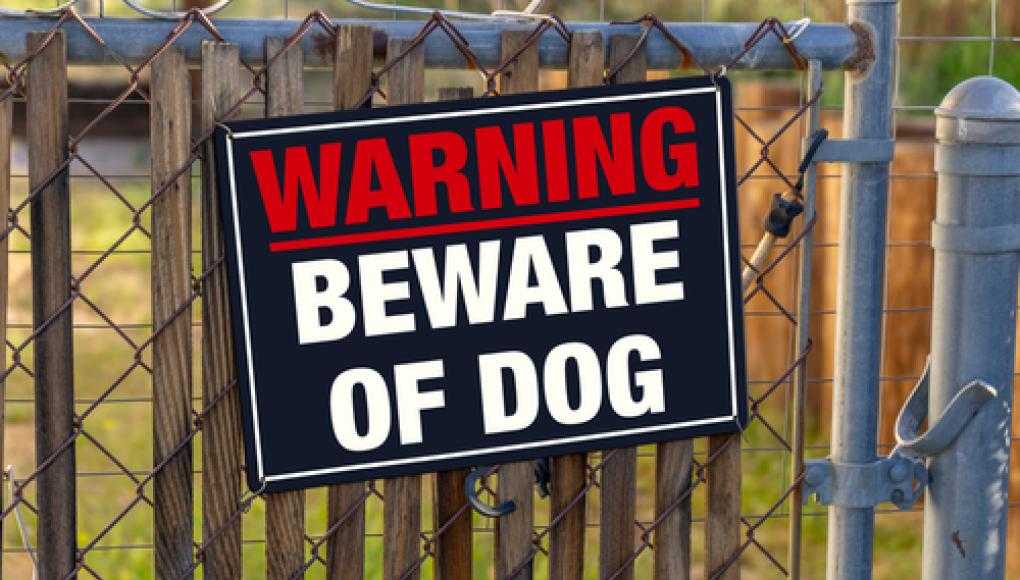 Owners of Dangerous Dogs Could Face Felonies, If Bill Passes - Beware of Dog Sign