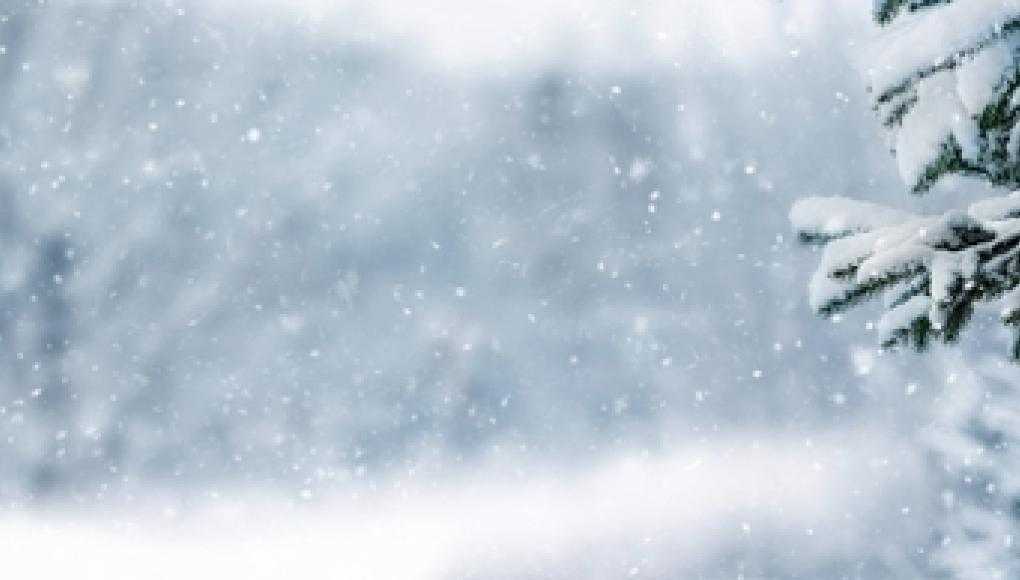 Tallahassee to Implement Ban on Snow - Snowfall