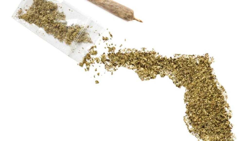 John Morgan: Medical Marijuana Amendment Will 'Overwhelmingly' Pass - Marijuana Shaped into State of Florida