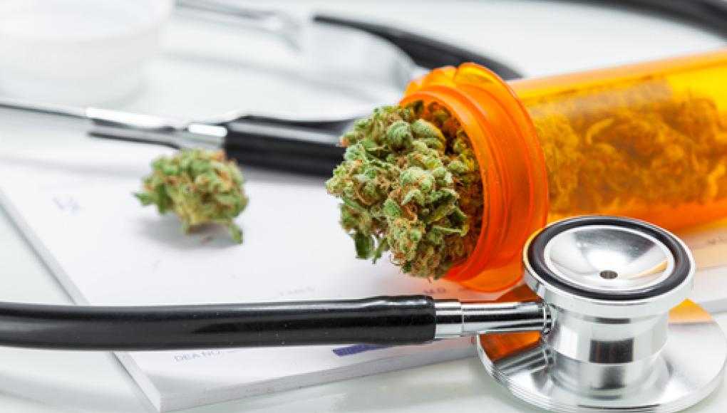 Revised Medical Marijuana Amendment Submitted to FL Division of Elections - Medical Marijuana