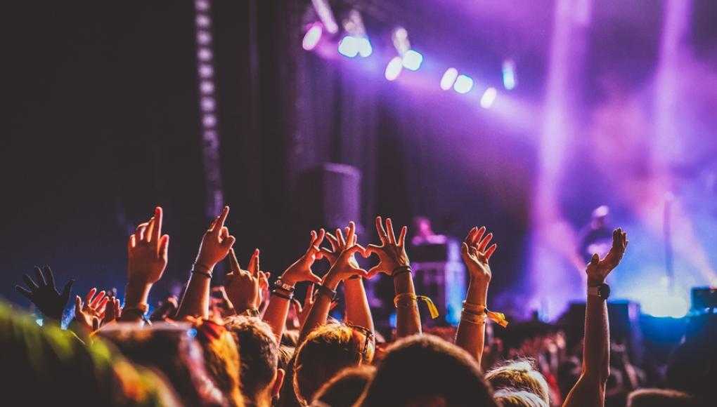 Excited festival-goers enjoying a summer music festival, with hands raised and vibrant stage lights, emphasizing the importance of security and safety.