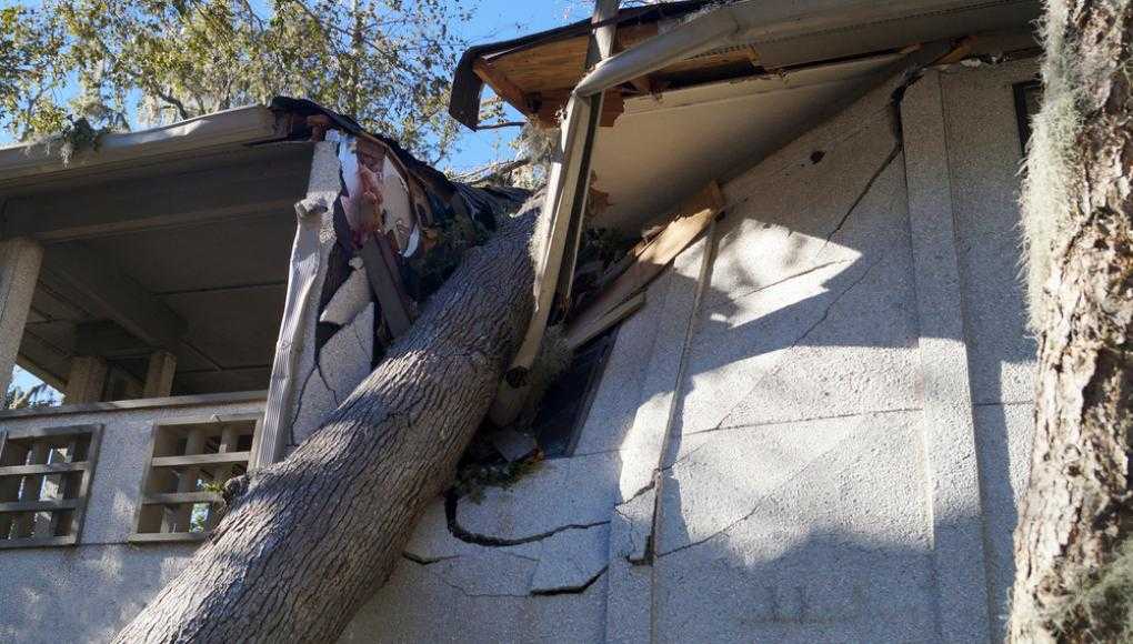 Your Step-by-Step Guide to Hurricane Insurance Claims - tree fell on a house during a hurricane