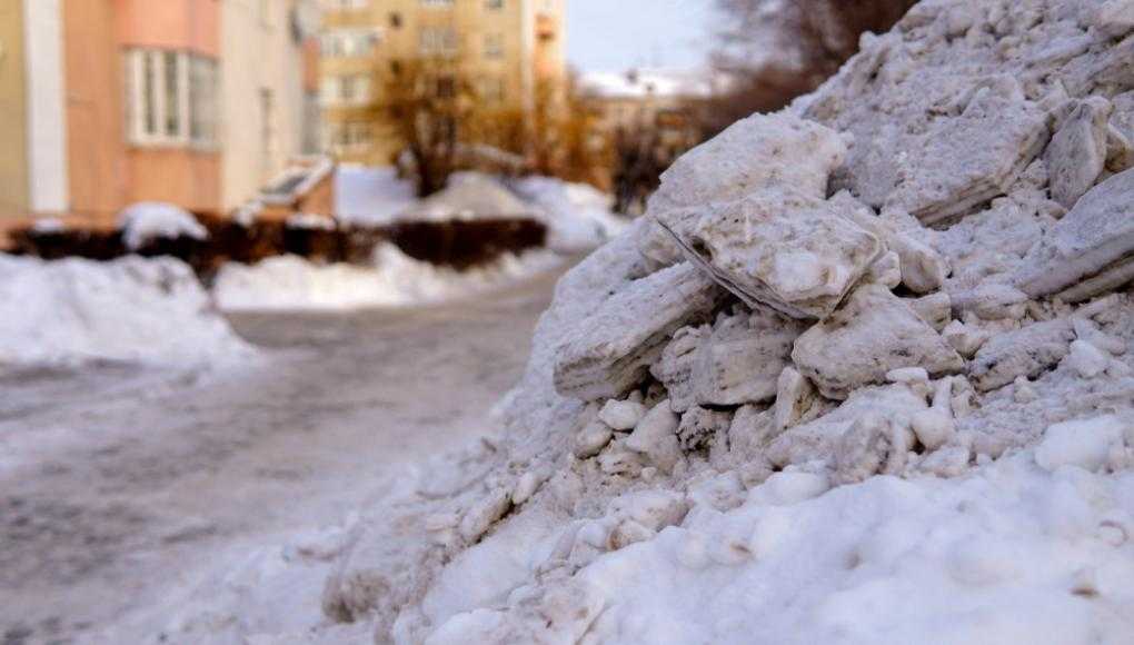 snow on the ground