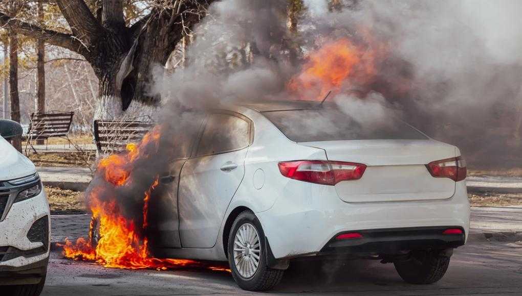 white car on fire in park