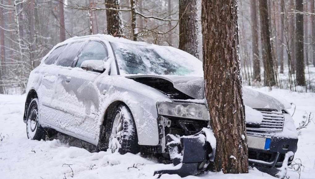 Car crashed into a tree