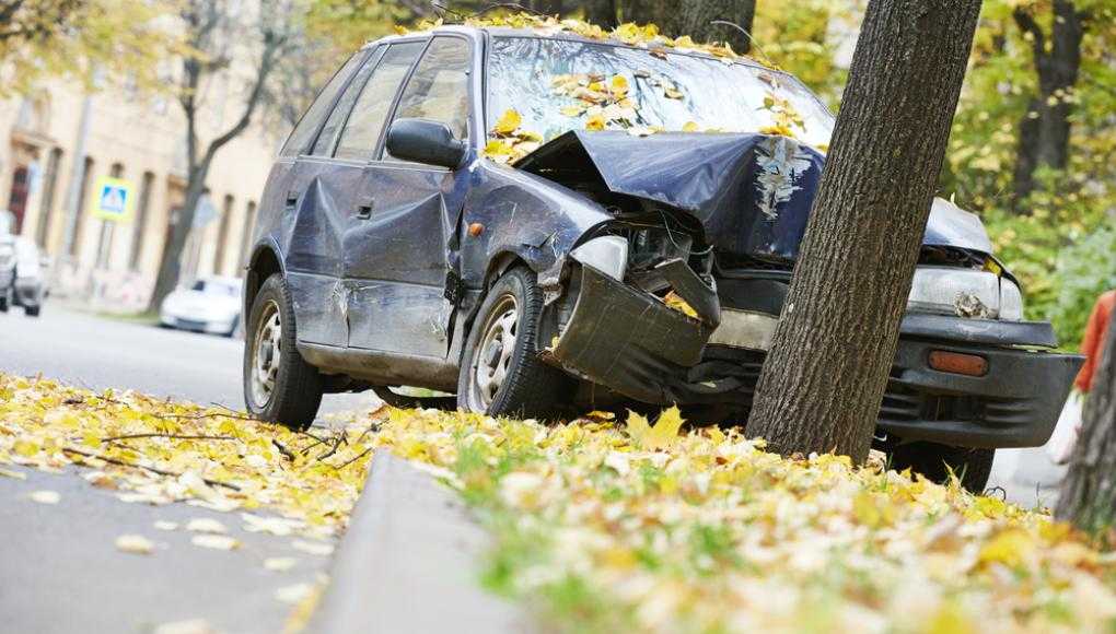 Car crashed into a tree