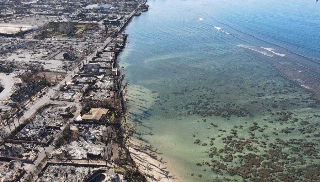 post wildfire in maui