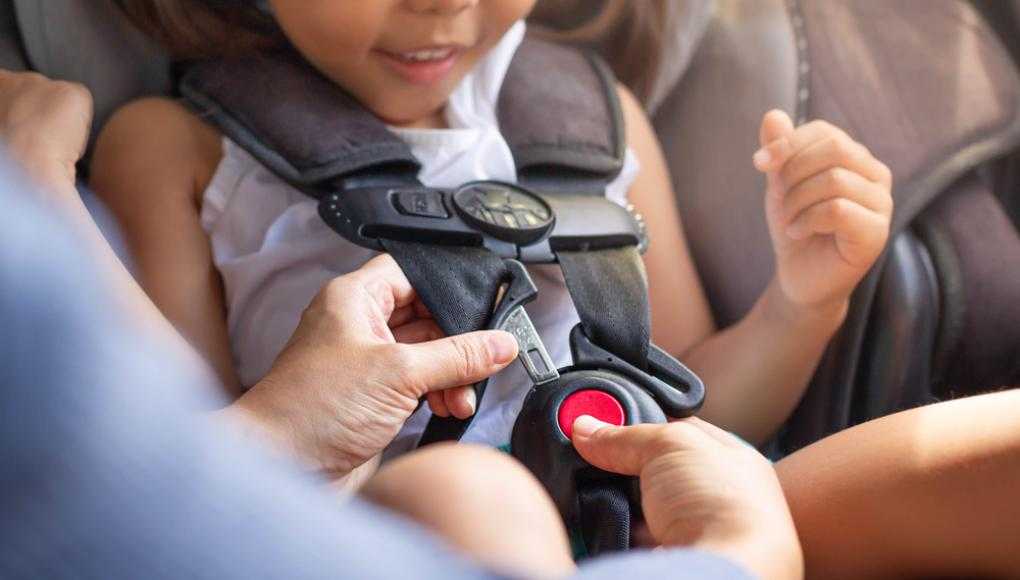 child putting on their seatbelt