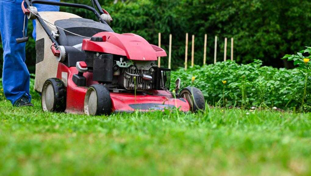 Person mowing their lawn