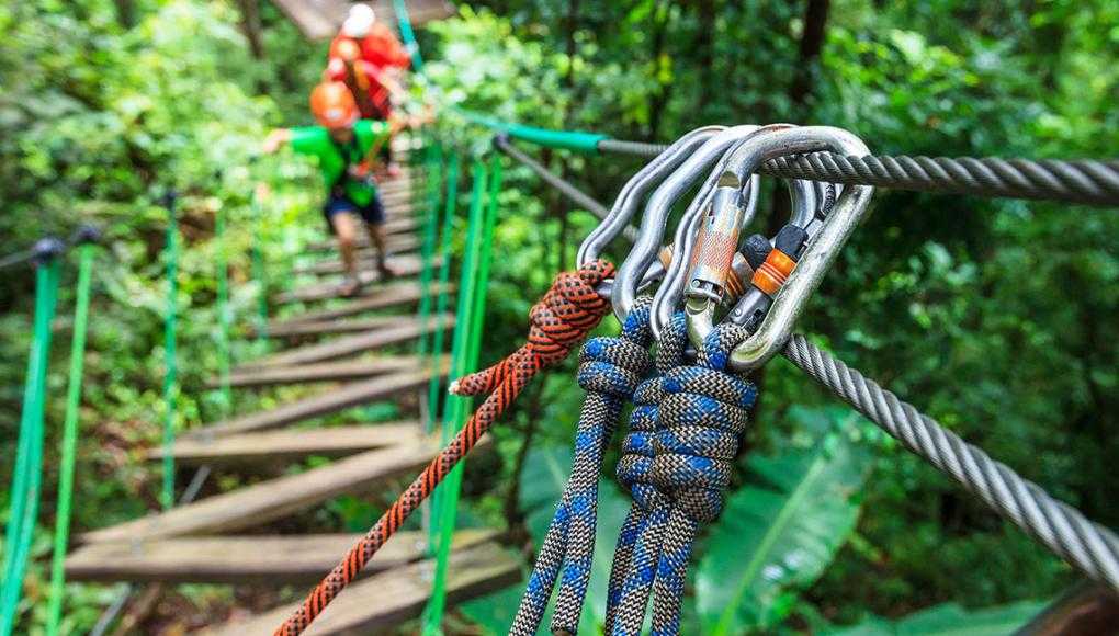 Following Artegon Accident Settlement, Families Wonder If Zipline and Aerial Adventure Rides Are Safe - zipline