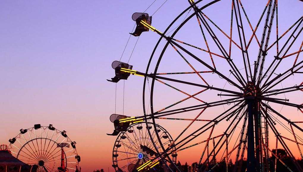 tampa amusement park safety