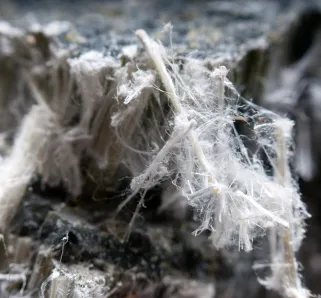Mesothelioma