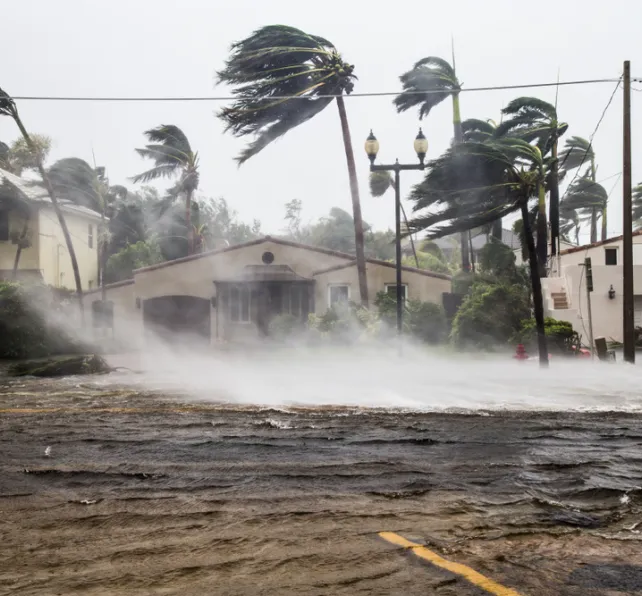 House in a hurricane
