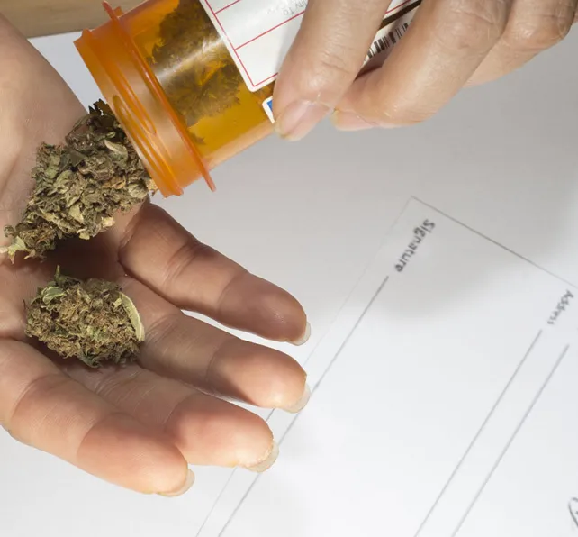 Morgan & Morgan Fights for Marijuana Legalization in Florida - A hand holding a marijuana