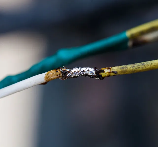 Exposed Wire
