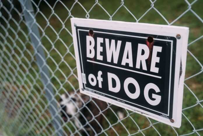 Dog Bite Attorney in Washington, DC - Beware of dog sign