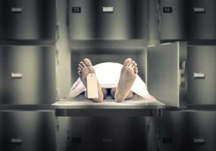 Harvard morgue: A look at body parts dealing