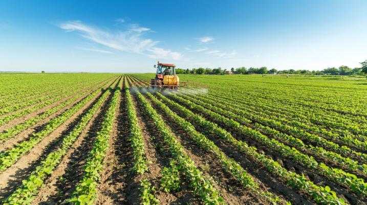 farmer spraying crops