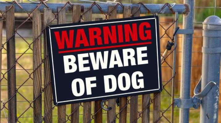 Owners of Dangerous Dogs Could Face Felonies, If Bill Passes - Beware of Dog Sign