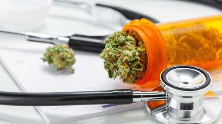 Revised Medical Marijuana Amendment Submitted to FL Division of Elections - Medical Marijuana