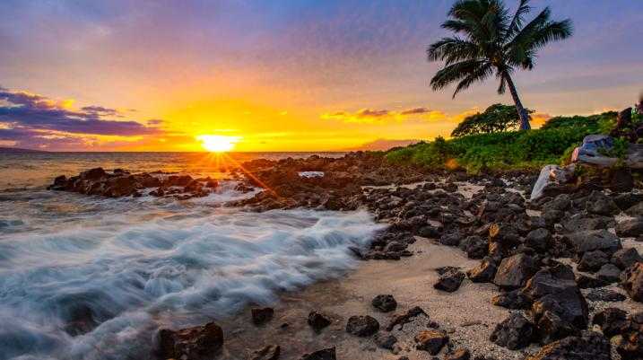 Maui Global Settlement Update - scene out of Maui