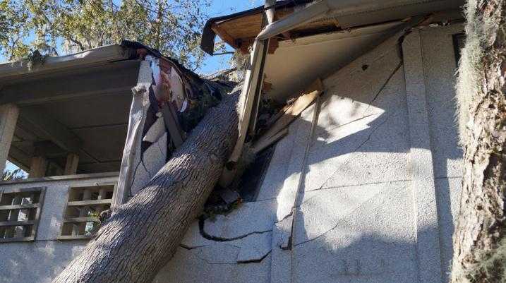 Your Step-by-Step Guide to Hurricane Insurance Claims - tree fell on a house during a hurricane