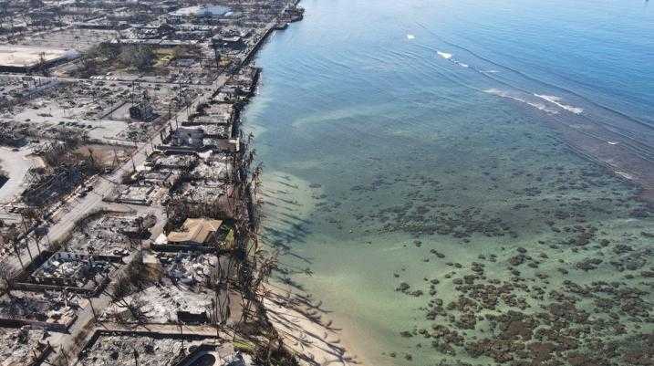 post wildfire in maui