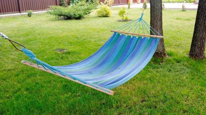 Hammock in a yard