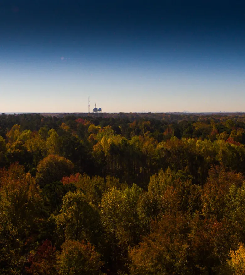 Expansive autumn view of Johns Creek, a community protected by committed personal injury lawyers.