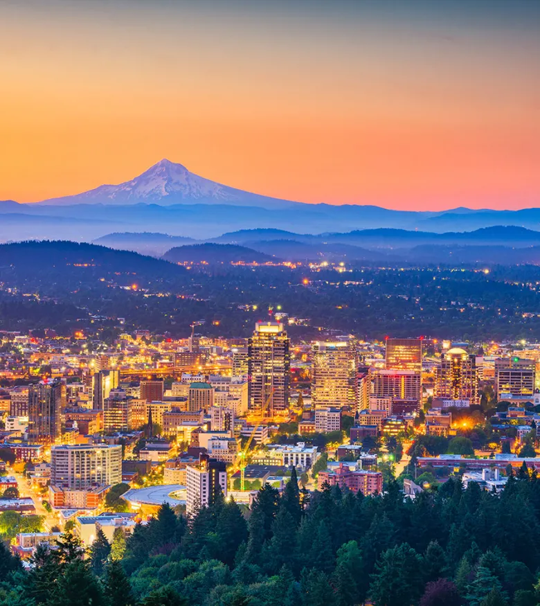 City lights and mountain