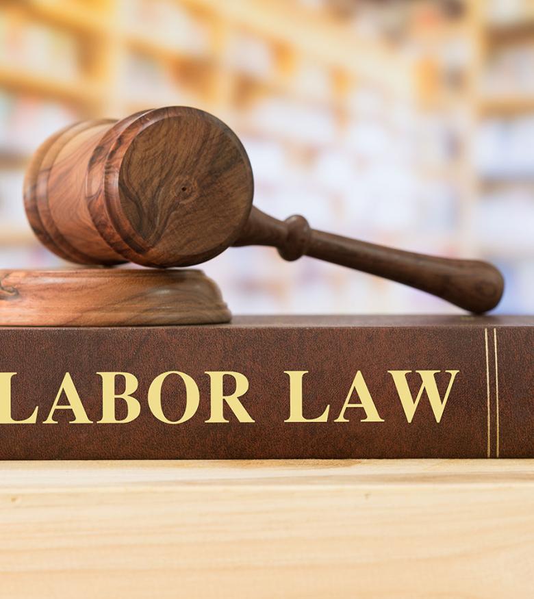 Gavel and Labor Law Book