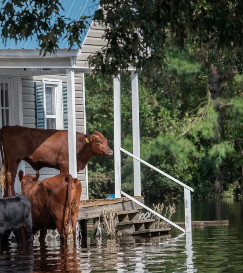 Hurricane Damages Lawyers in Alpharetta, GA - hurricane in Alpharetta causes water damage