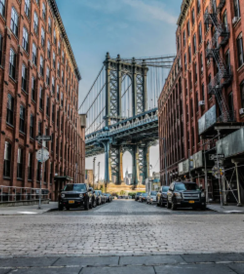 Brooklyn Bridge view