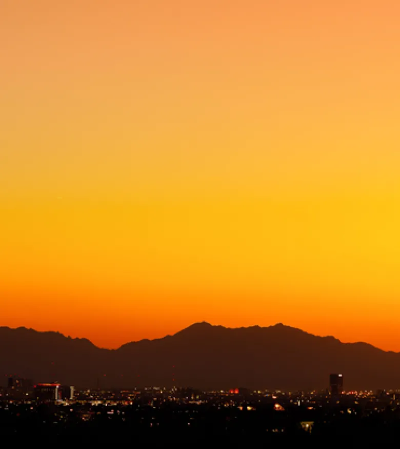 Phoenix sunset cacti