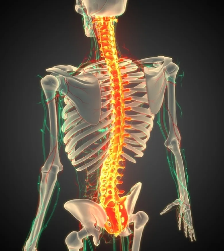 Spinal Cord Injury Lawyers in Big Pine Key, FL