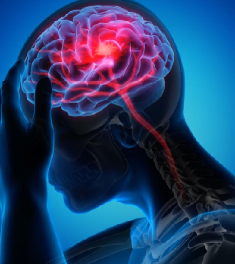 An illustration of a brain with a highlighted injury, emphasizing the need for a Brain Injury Attorney in Brunswick to provide legal assistance.