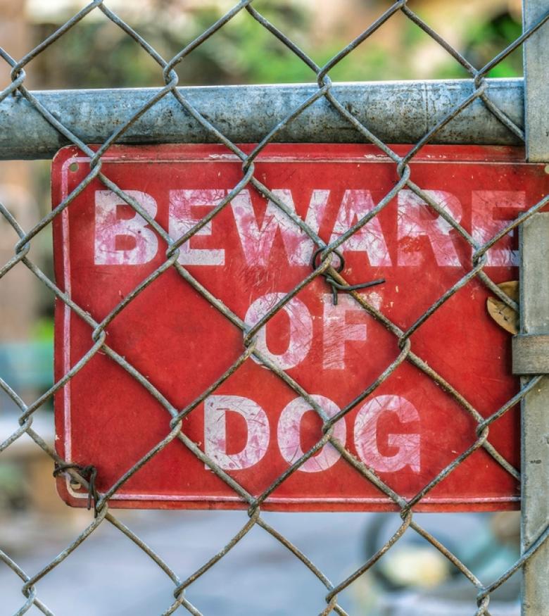Dog Bite Attorney In Los Angeles - Dog Bite
