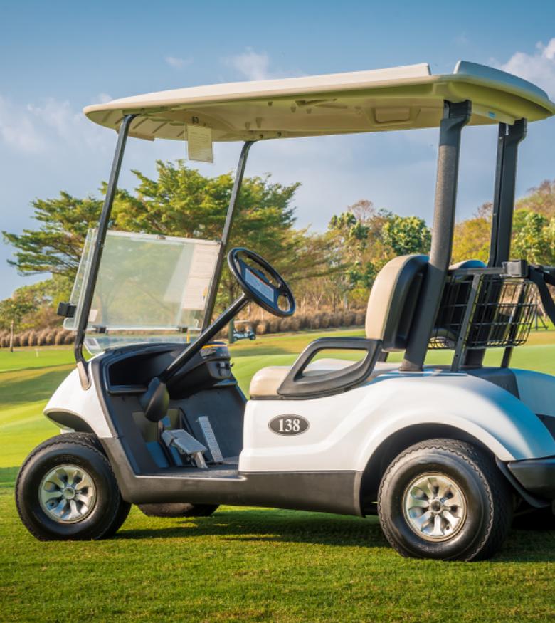 Do Golf Carts Have Titles in South Carolina? - Golf Cart