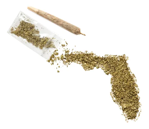 John Morgan: Medical Marijuana Amendment Will 'Overwhelmingly' Pass - Marijuana Shaped into State of Florida